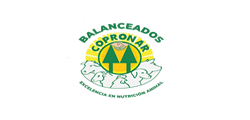 img-logo