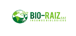 img-logo