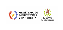img-logo