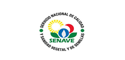 img-logo