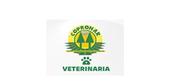 img-logo