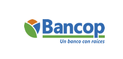 img-logo